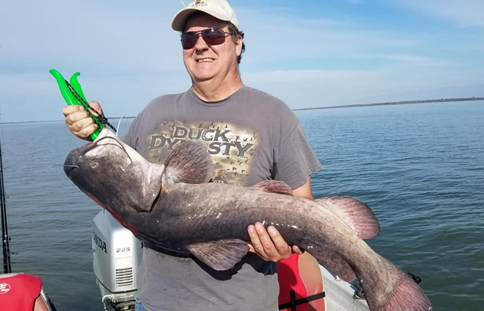 Catfish are eating this Spring on Lake Lewisville